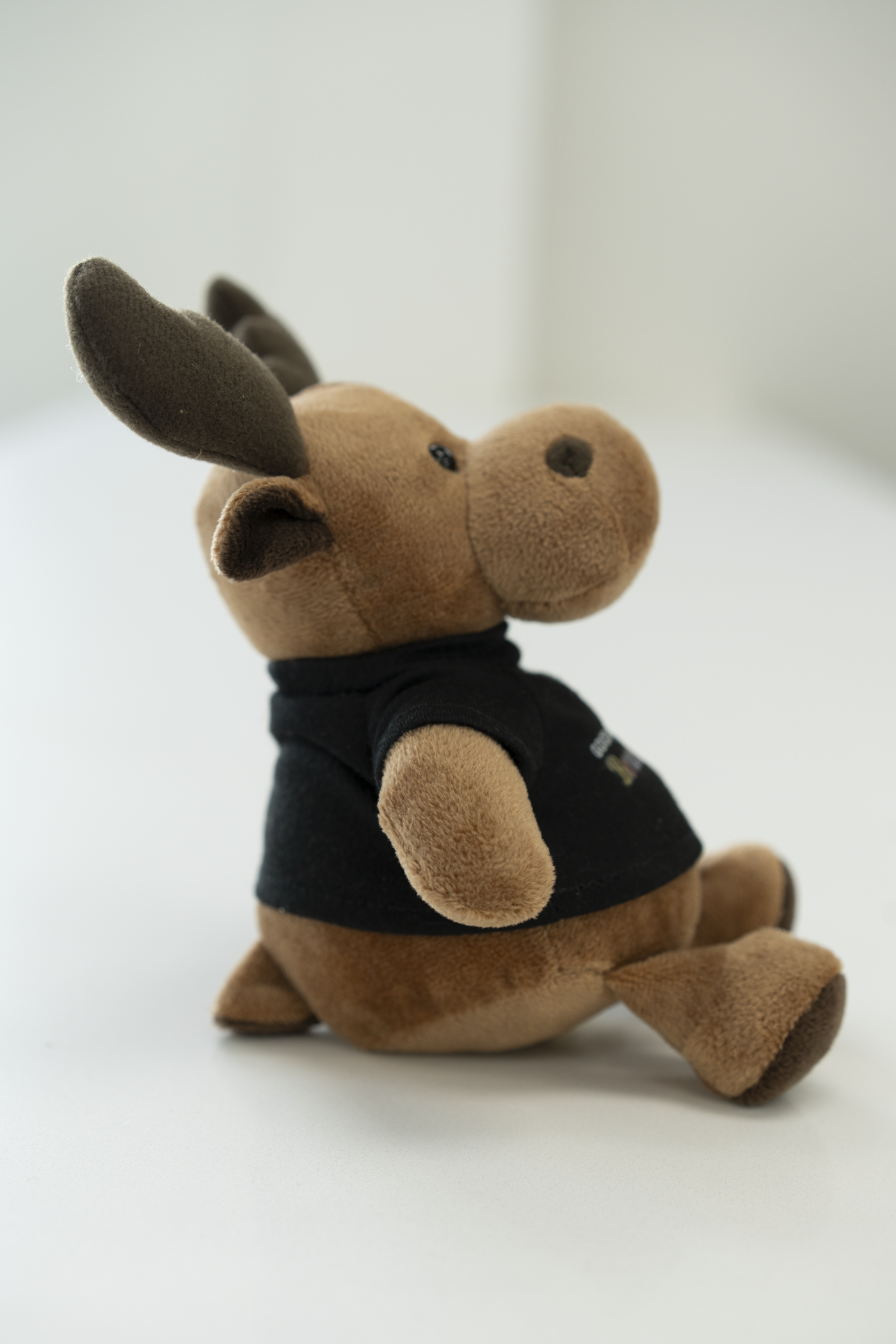 Bruce the Moose