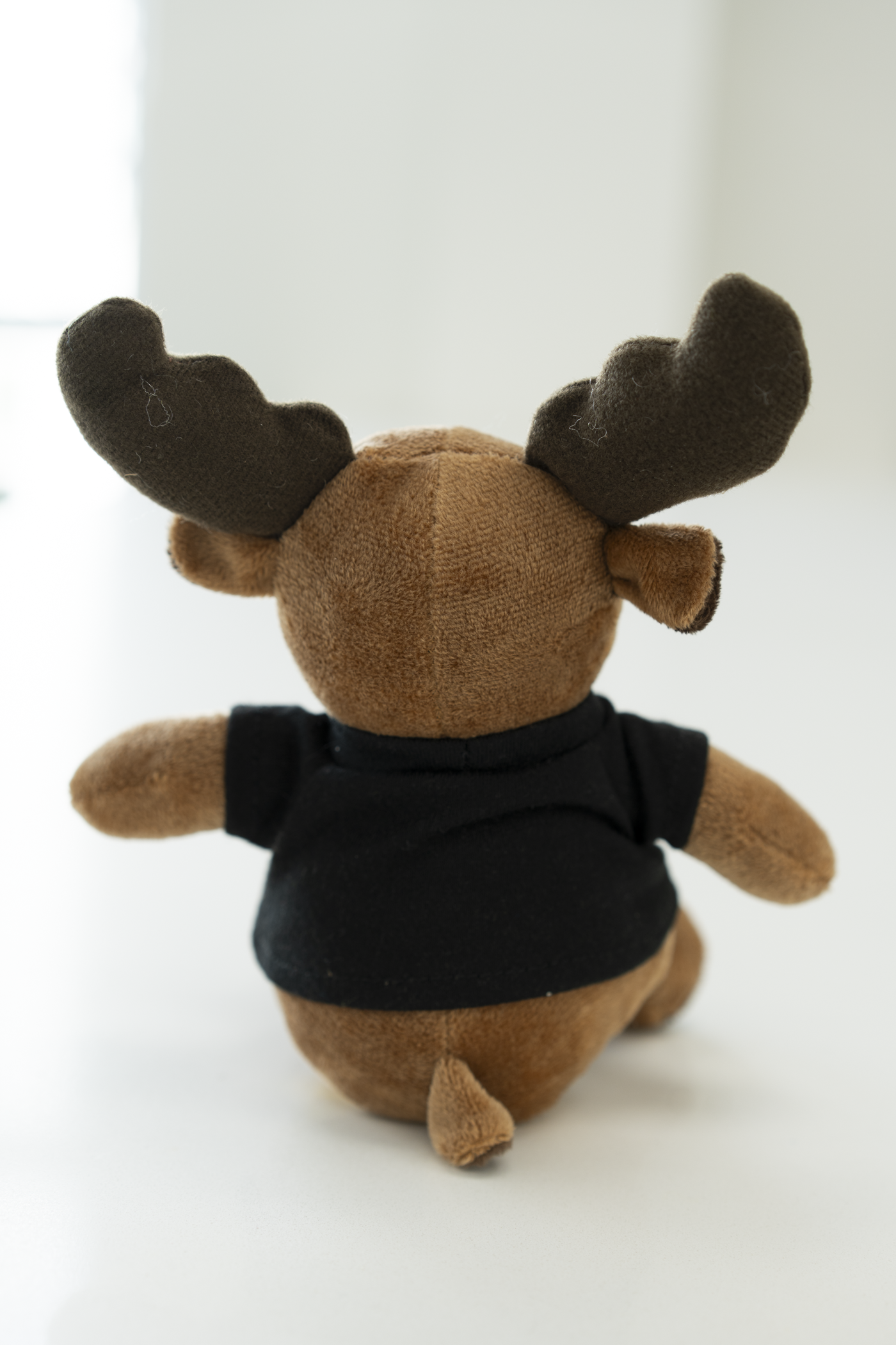 Bruce the Moose