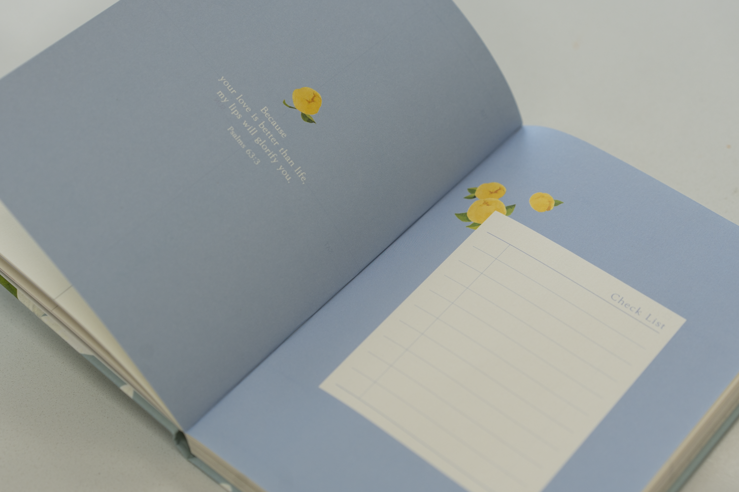 R49_50_51_DIARY_10.png