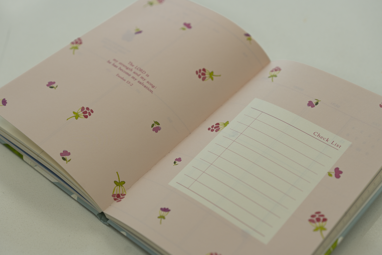 R49_50_51_DIARY_11.png
