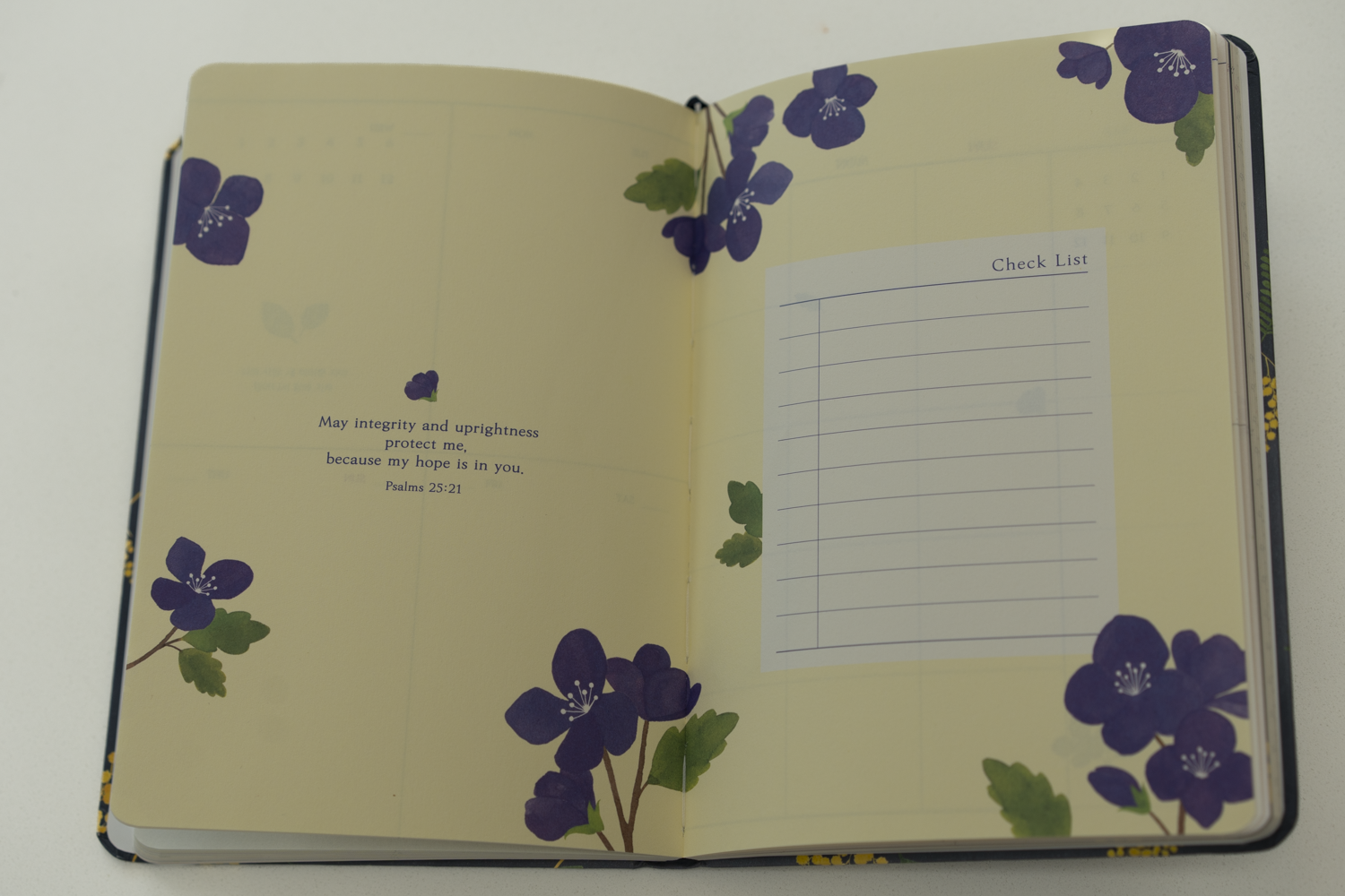 R49_50_51_DIARY_3.png