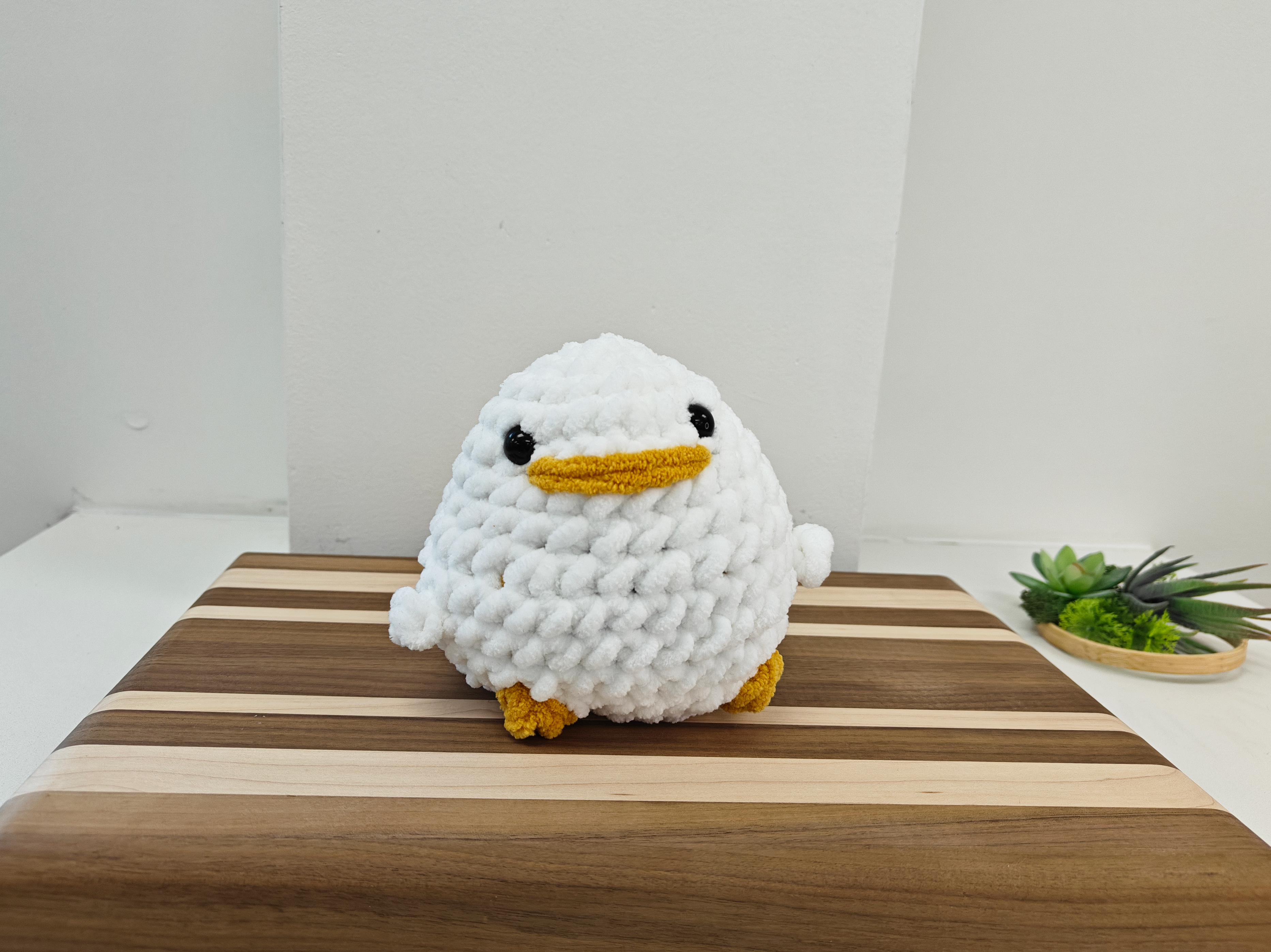 Ducky Buddy